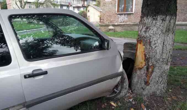 Червоноградець на автомобілі врізався в дерево. 