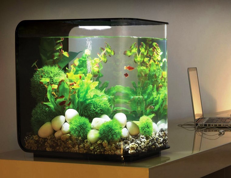 аквариум для дома