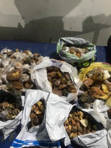 Працівники Львівської митниці знайшли приховані понад 24 кг бурштину