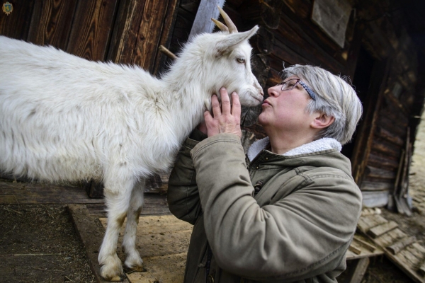 Сімейна козяча ферма на Сколівщині запрошує на святкування з нагоди річниці заснування