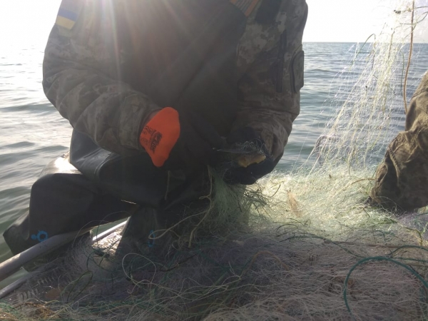 (ВІДЕО) Прикордонники та рибоохоронний патруль випустили в Азовське море незаконно виловлену червонокнижну рибу