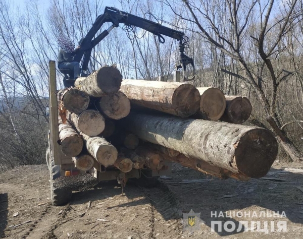 У Старосамбірському районі поліцейські виявили немарковану деревину 