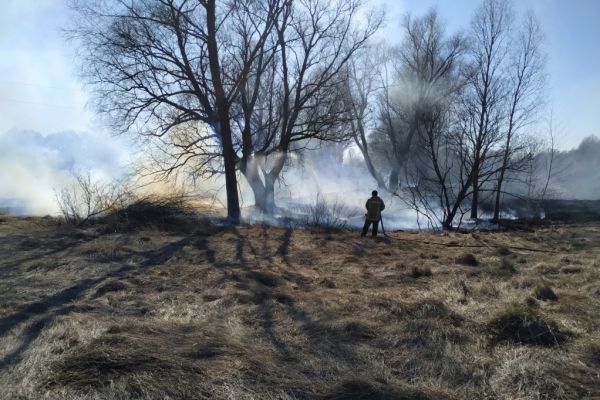 Чернігівська область: упродовж минулої доби рятувальники ліквідували 14 загорянь сухої рослинності