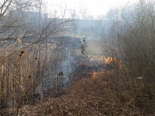 Полтавська область: за минулу добу рятувальники ліквідували 15 пожеж на відкритій території