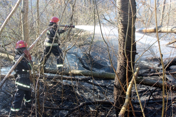 Рятувальники Хмельниччини ліквідували загоряння лісової підстилки, не давши вогню перерости у верхову пожежу