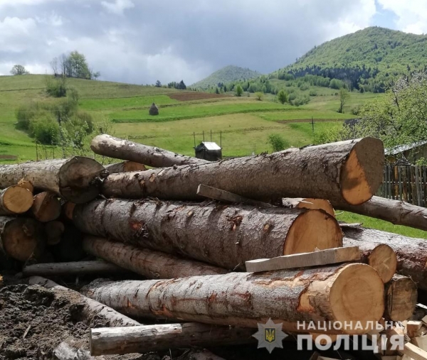 У Турківському районі поліцейські вилучили незаконно зрубану деревину