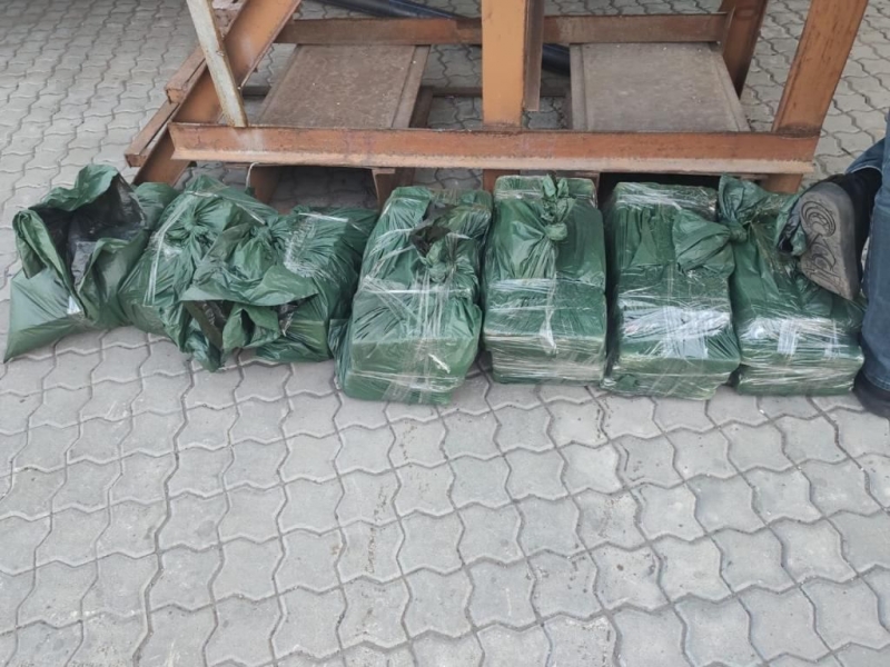 Близько 112 кг кокаїну в бананах виявила Державна митна служба спільно з прикордонниками в Одесі