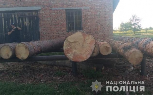 На Яворівщині поліцейські вилучили незаконно зрубані колоди дерев