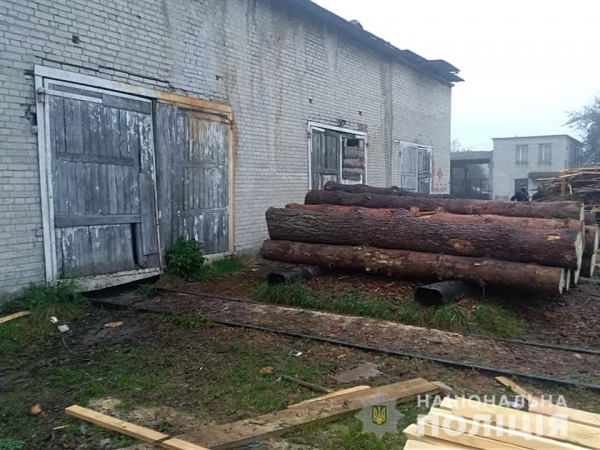 На Сокальщина правоохранители изъялы незаконно срубленную древесину
