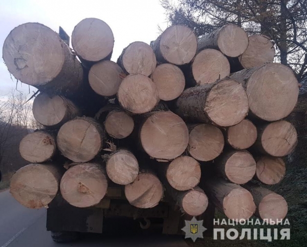 В Сколевский полицейские обнаружили и изъялы грузовик с нечипованою древесиной - открыто уголовное производство