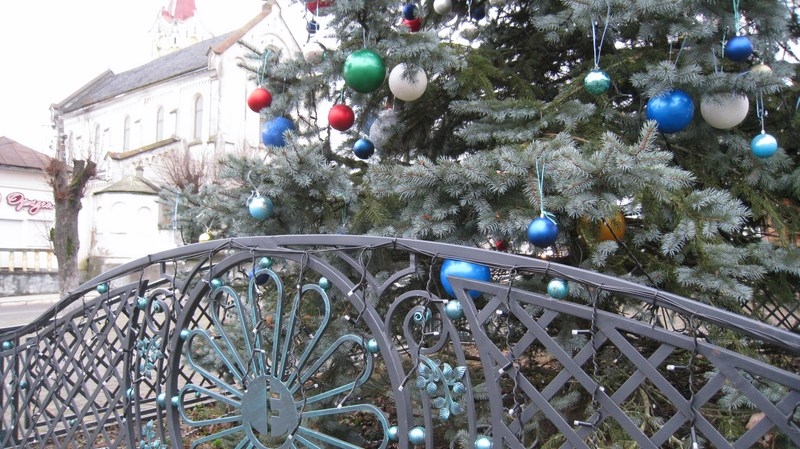 У Старому Самборі засвітили різдвяну ялинку (фото)