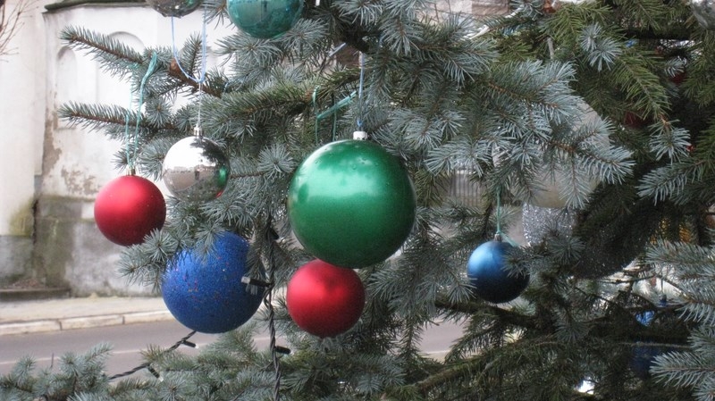 У Старому Самборі засвітили різдвяну ялинку (фото)