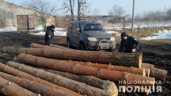 У Червоноградському районі правоохоронці виявили та вилучили майже три десятки нечипованих колод сосни
