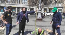 На вихідних у Львові висадили 73 дерева