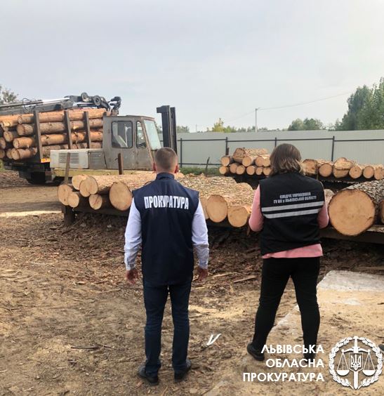Розкрадання та реалізація деревини із національного парку на Львівщині – викрито злочинну групу осіб 