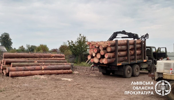 Розкрадання та реалізація деревини із національного парку на Львівщині – викрито злочинну групу осіб 