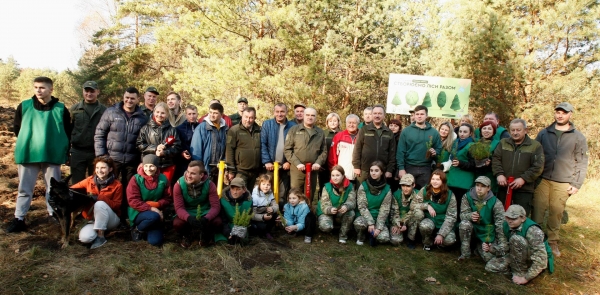 «Створюємо ліси разом»: в межах акції в області висадили понад 70 тисяч дерев 