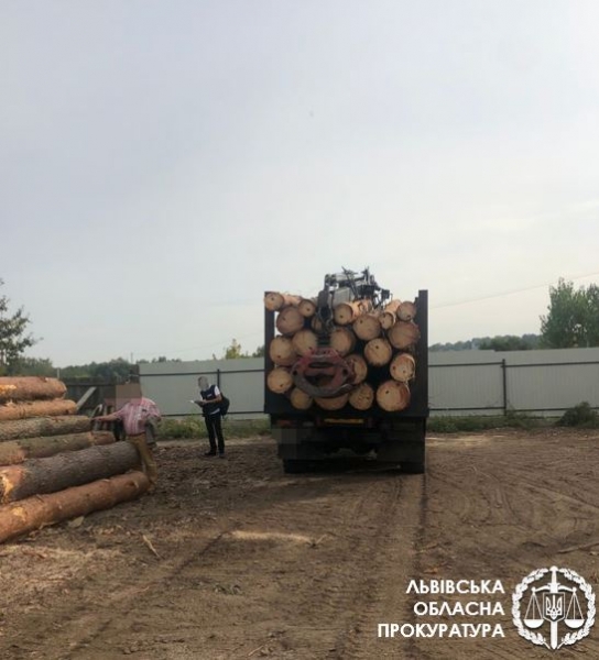Незаконна порубка дерев у національному природньому парку на понад 350 тис грн – на Львівщині підозрюють організовану злочинну групу, в числі якої є службовці парку 