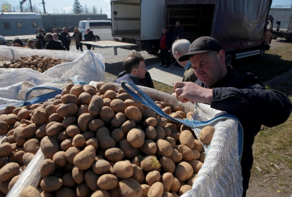 Підтримка аграрної галузі: Львівщина отримала першу партію насіннєвої картоплі з Франції