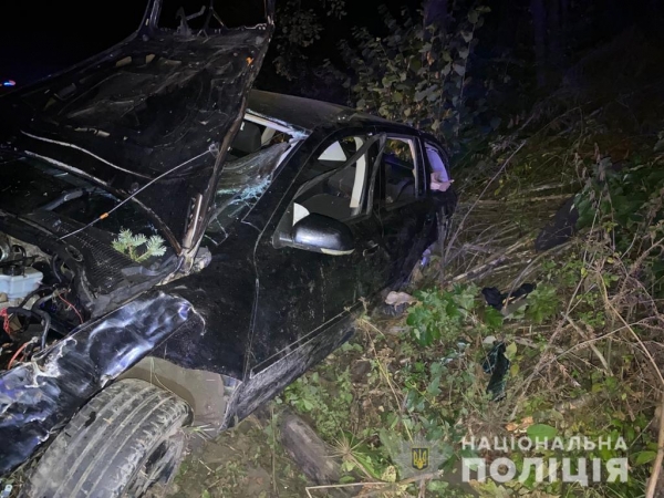 Поліцейські затримали водія, який скоїв смертельну ДТП у Стрийському районі Львівщини