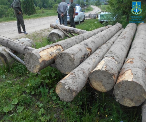 Незаконна рубка дерев зі збитками на майже 1 млн грн – судитимуть двох місцевих мешканців Львівщини