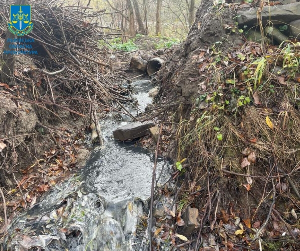 Екологічне забруднення земель у Славську зі збитками майже 2,5 млн грн