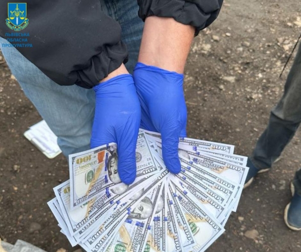 10 000 доларів США за незаконний перетин кордону – затримано мешканця Самбірщини