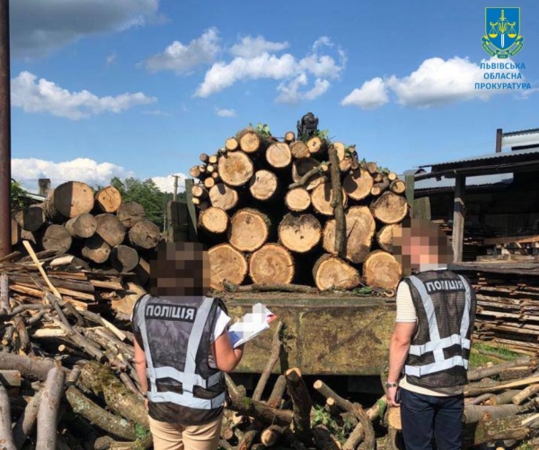 Незаконна порубка лісу зі збитками понад 2 млн грн – судитимуть учасників організованої групи