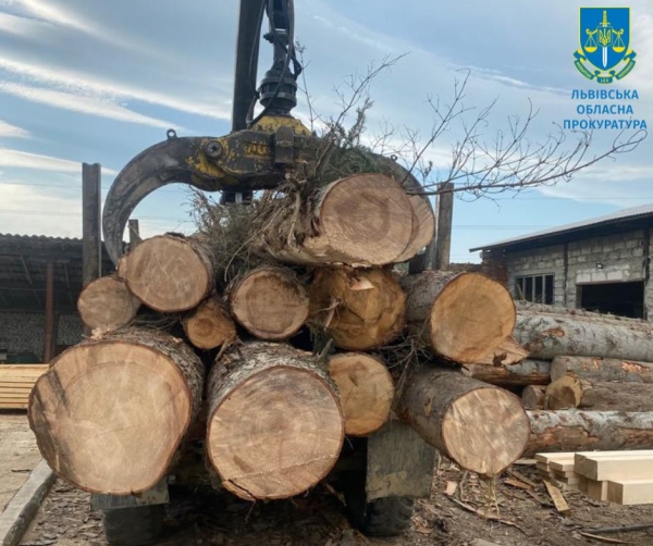 Незаконна реалізація деревини – повідомлено про підозру службовцям лісгоспу та директору товариства на Львівщині