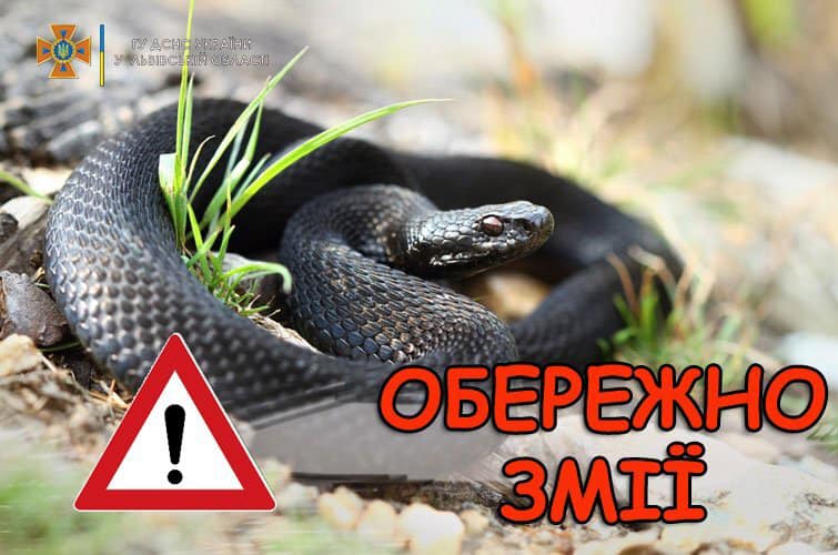 обережно - змії