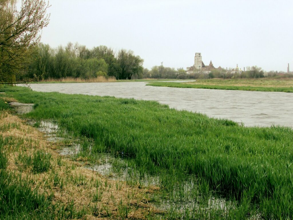 вид на річку Західний Буг, Сокаль