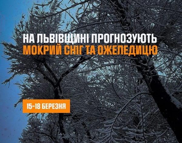 Сніг та ожеледиця на Львівщині: попередження для водіїв