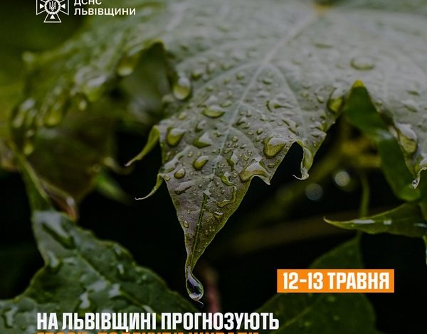 Синоптики прогнозують грози та шквали у Львівській області