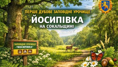 дубове урочище Йосипівка