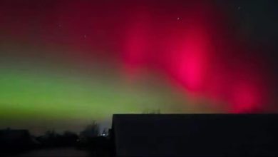 полярне сяйво на Сокальщині, Тартаків. Авторка світлини - Ірина Ковалів