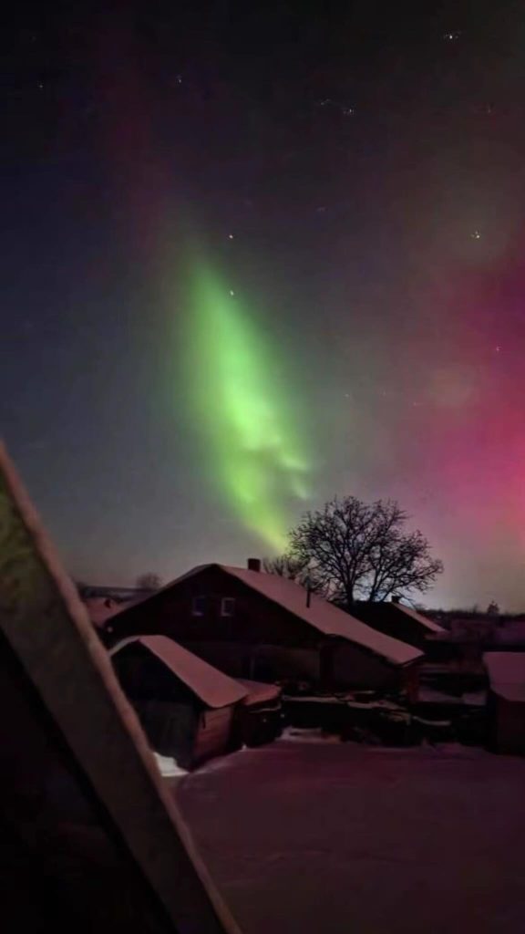 полярне сяйво на Сокальщині, Тартаків. Авторка світлини - Ірина Ковалів