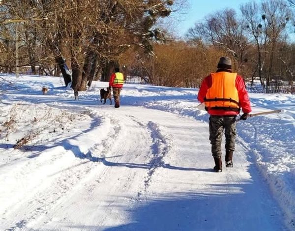 Рятувальники в Шептицькому звільняють лебедів з крижаної пастки