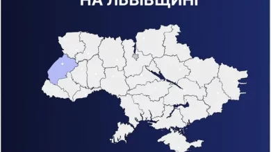 За добу 29 травня поліція Львівщини опрацювала 1341 звернення громадян