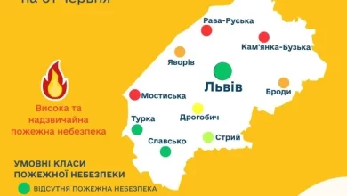 На Львівщині попереджають про надзвичайну пожежну небезпеку 1–3 червня