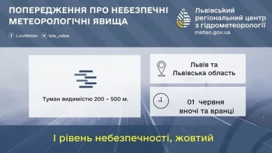 На Львівщині 1 червня прогнозують туман, грози та град