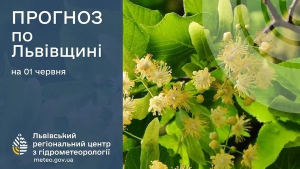 Прогноз погоди на 1 червня для Львівщини та Львова