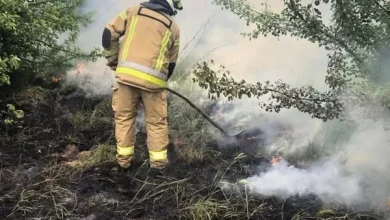 На Львівщині за добу загасили 14 пожеж в екосистемах