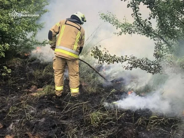 На Львівщині за добу загасили 14 пожеж в екосистемах