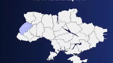 За добу 30 травня поліція Львівщини опрацювала 1320 звернень громадян