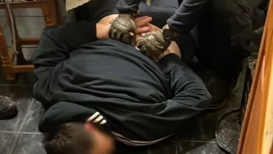 У Львові викрили 42-річного чоловіка, підозрюваного у збуті канабісу