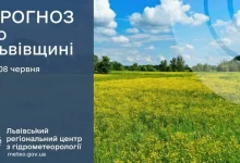 Прогноз погоди на 8 червня для Львівщини та Львова