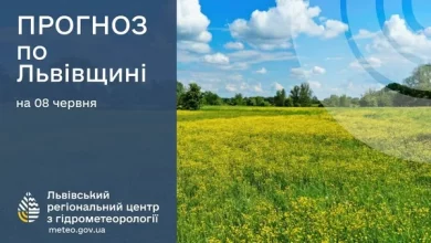 Прогноз погоди на 8 червня для Львівщини та Львова