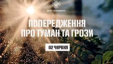 На Львівщині попереджають про туман на дорогах і грози 2 червня