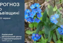 Прогноз погоди на 2 червня 2026 року для Львівщини та Львова