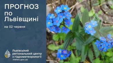 Прогноз погоди на 2 червня 2026 року для Львівщини та Львова